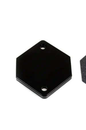 PW IAC Block Off Plate / Idle Air Control Delete for Ford Limited Time