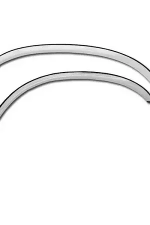 Dodge Ram Restyling Ideas Fender Trim - 02-SL1015 Trusted Brand