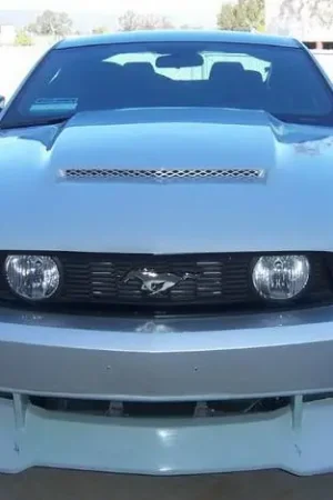 Fan Favorite Ford Mustang RK Sport Ram-Air Hood - 18014005