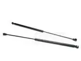 Ford Mustang Stack Racing Hood Struts - HST-05 Editor’s Pick