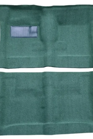 Carpet for 1965-1970 Buick LeSabre 2DR Loop Today Only