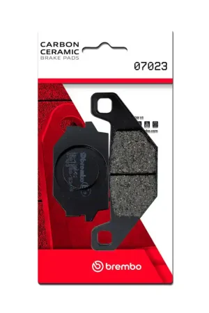 Today Only Brembo OE AM - BRAKE PAD MOTORCYCLE