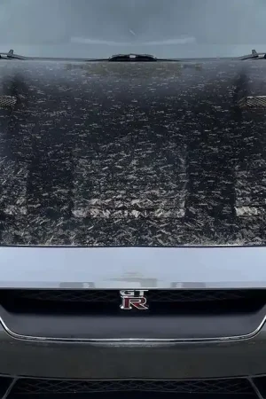 Carbon Creations GT2 Hood EXT 119252 Flash Sale