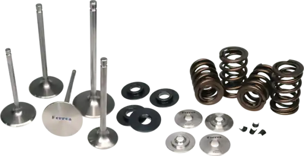 Ferrea BMW N54 Single Spring Kit Seasonal Sale