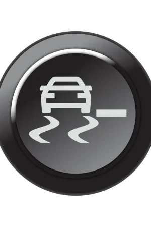 Link CAN Keypad Insert - Traction Control Decrease Money Back Guarantee