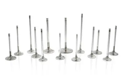 Ferrea Ford EcoBoost 3.5L 37mm 5.48mm 97.65mm 3.8mm 19 Deg S-Flo Comp Plus Intake Valve - Set of 12 - F2401P Cheap