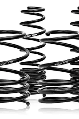Swift Spec-R Lowering Springs | 2011-2014 Nissan R35 GT-R (4N017R) – SBX Performance Free Delivery